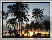 Zachód Słońca, Hawaje, Palmy, Oahu