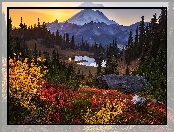 Krzewy, Skała, Stratowulkan Mount Rainier, Drzewa, Jezioro, Zachód słońca, Waszyngton, Stany Zjednoczone, Tipsoo Lake, Góry