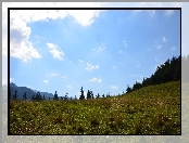 Łąka, Zakopane, Niebo