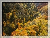 Jesień, Zalesione, Góry