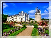 Zamek, Francja, Chenonceau, Ogród