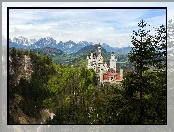 Zamek, Lasy, Neuschwanstein, Góry