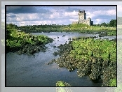 Skały, Zamek, Eilean Donan, Szkocja, Zielone