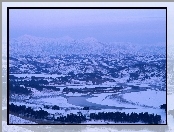 Śnieg, Las, Zaspy, Mróz