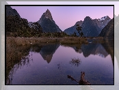 Zatoka Milforda, Alpy Południowe, Nowa Zelandia, Góry, Wyspa Południowa, Park Narodowy Fiordland, Fiord Milford, Góra Mitre Peak, Odbicie, Konar