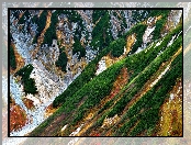 Japonia, Zbocza, Roślinność, Góra Mount Tate, Tateyama