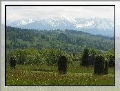 Ośnieżone, Zbocza, Gór