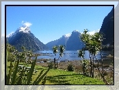 Nowa Zelandia, Jezioro, Góry, Roślinność, Milford Sound