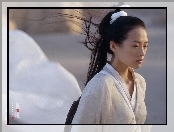 Hero, Zhang Ziyi