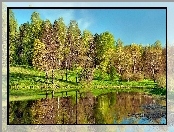 Park, Zieleń, Staw