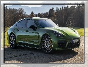 Zielone, Porsche Panamera S, Bok