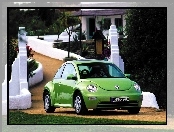 Zielony, Volkswagen New Beetle
