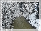 Zima
