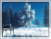 Zima, Art, Drzewa, Ławka