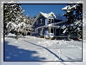 Zima, Śnieg, Drzewa, Dom
