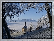 Zima, Austria, Ko�ci�ek, Drzewa