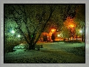 Zima, Park, Drzewa, Lampy, Noc