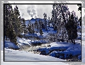 Rzeka Firehole River, Stan Wyoming, Stany Zjednoczone, Drzewa, Park Narodowy Yellowstone, Zima