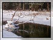 Zima, Rzeka, Śnieg, Drzewa
