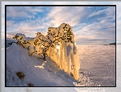 Zima, Drzewko, Rosja, Oblodzone, Republika Karelii, Jezioro Ładoga, Ośnieżone, Wschód słońca, Chmury, Zaśniezone