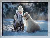 Pies, Zima, Chłopiec, Śnieg, Sanki, Golden retriever