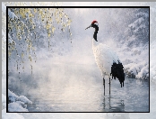 Żuraw mandżurski, Gałęzie, Zima, Woda, Roślinność