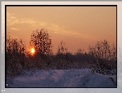 Zima, Drzewa, Śnieg, Wschód Słońca