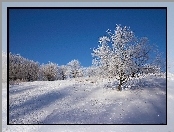 Zimowy, Krajobraz