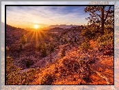Park Narodowy Zion, Góry, Promienie słońca, Stany Zjednoczone, Drzewa, Stan Utah