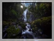 Stany Zjednoczone, Góra North Sister, Pasmo górskie Cascade Range, Stan Oregon, Promienie słońca, Omszałe, Skała, Willamette National Forest, Drzewa, Wodospad Proxy Falls, Kamienie