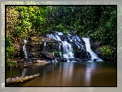 Stany Zjednoczone, Las, Waszyngton, Wodospad Panther Creek Falls