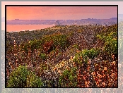 Wzgórza, Krzewy, Stany Zjednoczone, Roślinność, Park Stanowy Montana de Oro, Zachód słońca, Kalifornia