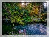 Staw, Promienie słońca, Stany Zjednoczone, Różanecznik, Stan Waszyngton, Seattle, Krzewy, Latarnia, Ogród, Kubota Garden