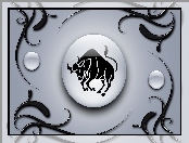 Znak, Zodiaku, Byk
