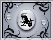 Znak, Zodiaku, Koziorożec