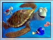 żółw, rybki, Gdzie Jest Nemo