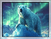 Polarny, Zorza polarna, Grafika, Niedźwiedź