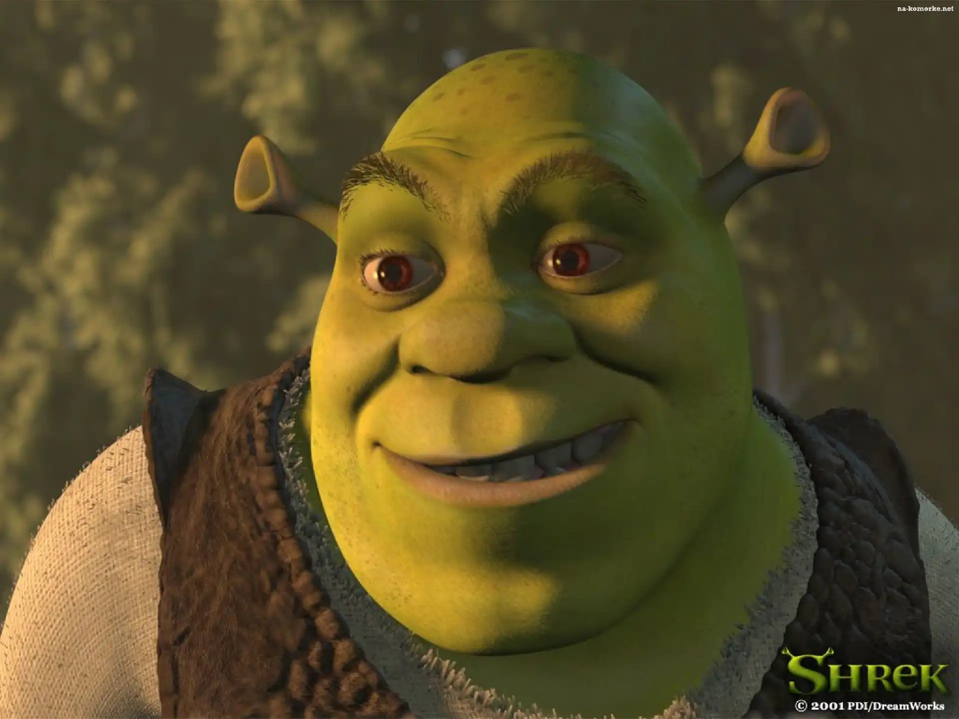 Shrek 1, ogr