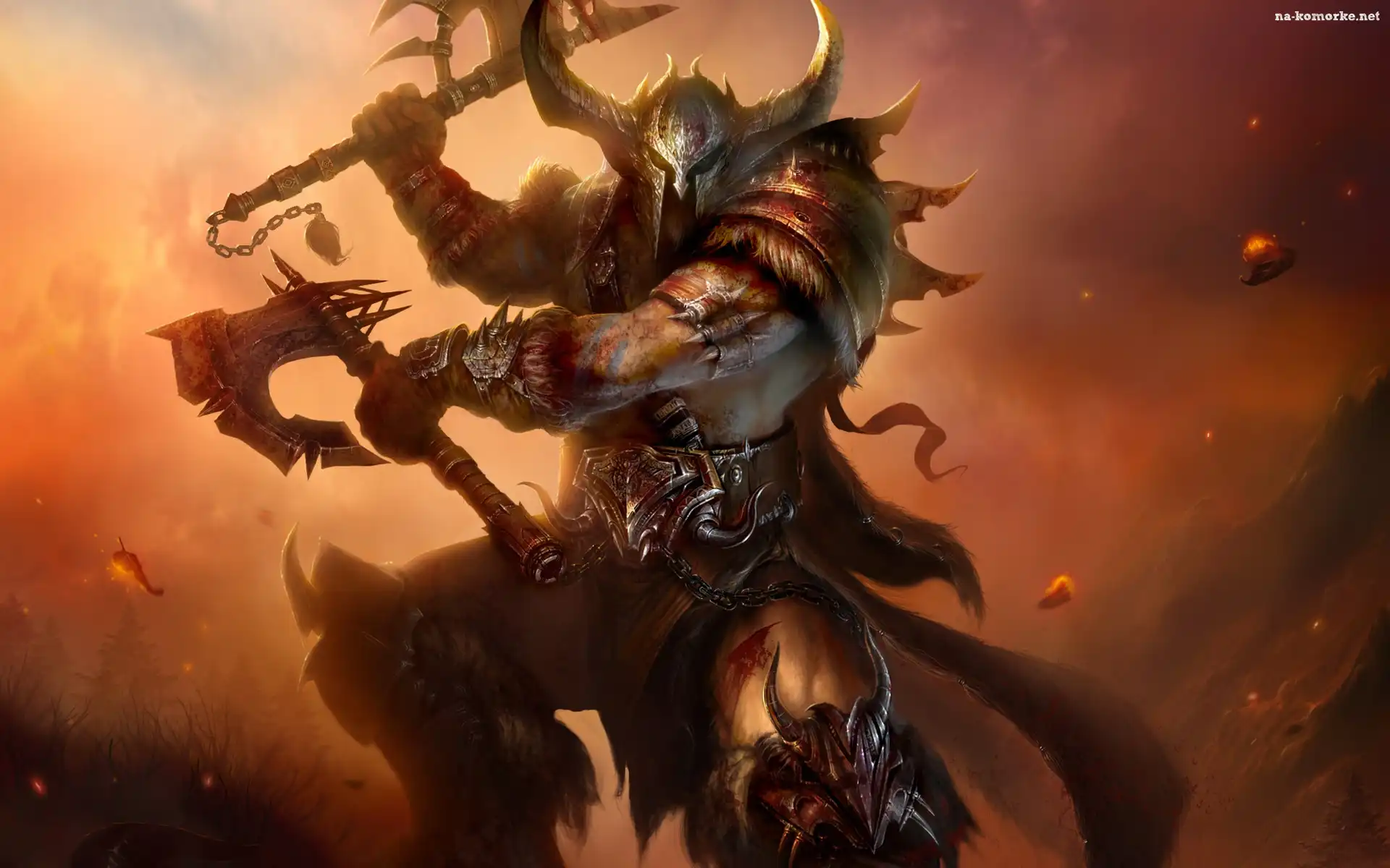 Diablo 3, Toporki