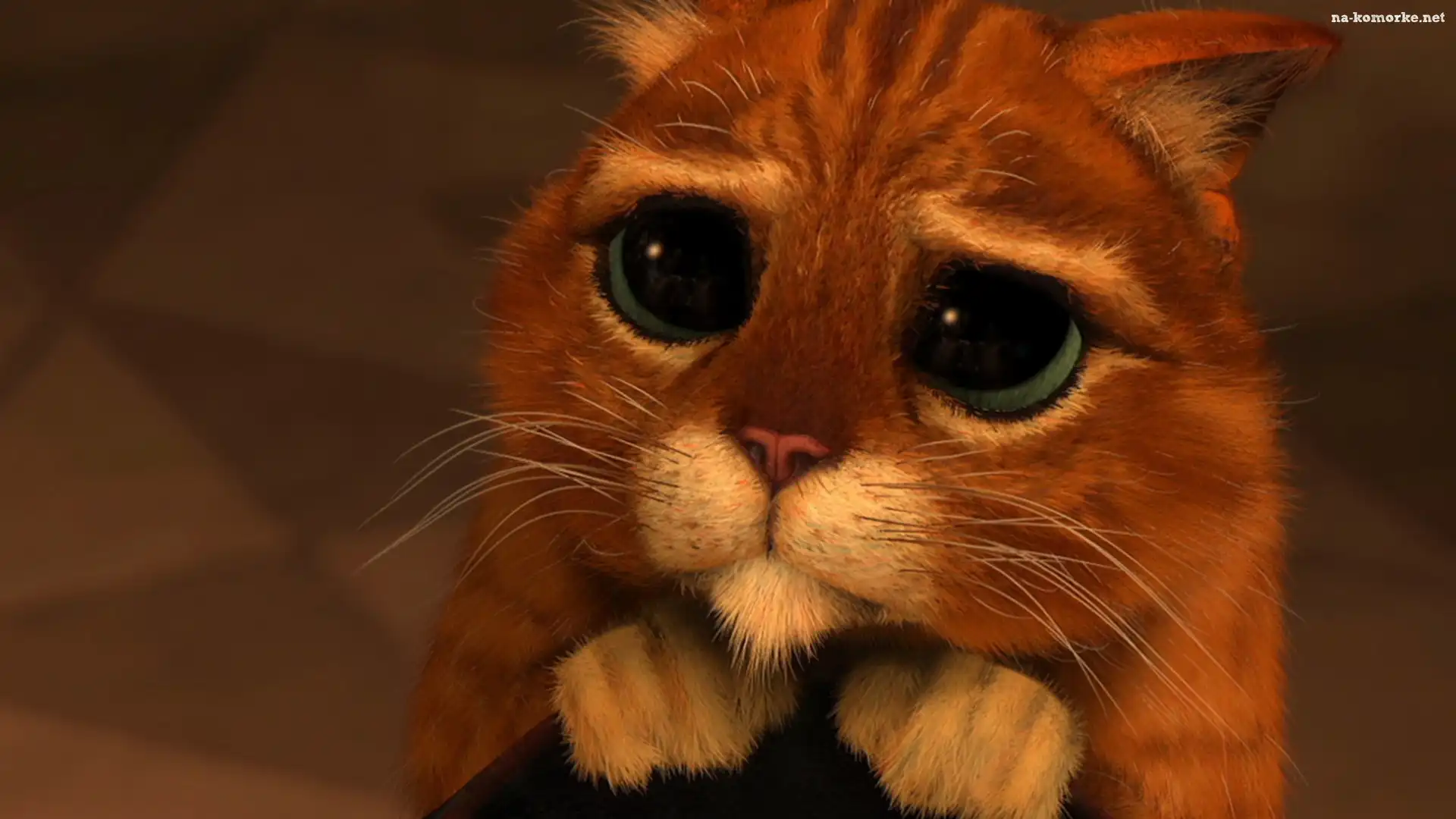 Shrek 3, Kot