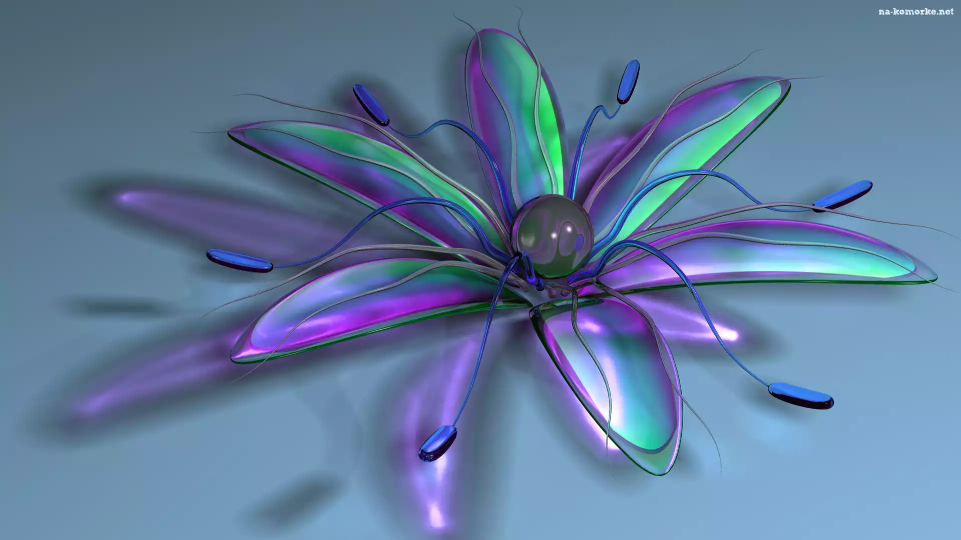 Grafika 3D, Kwiat