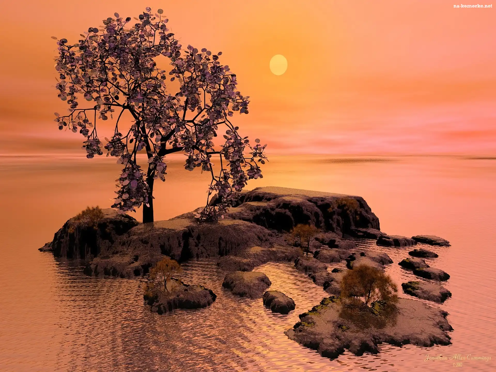 3D, Wektorowa