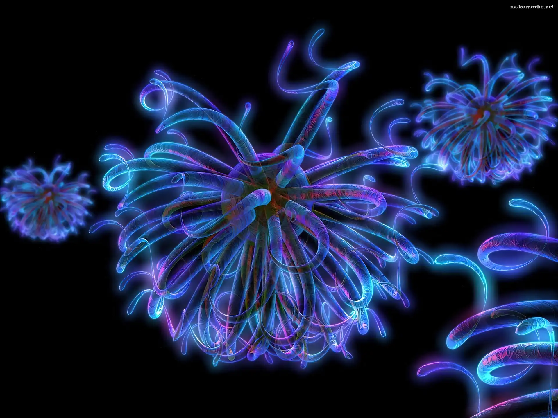 neon, fluorescencyjne, 3D, Wektorowa