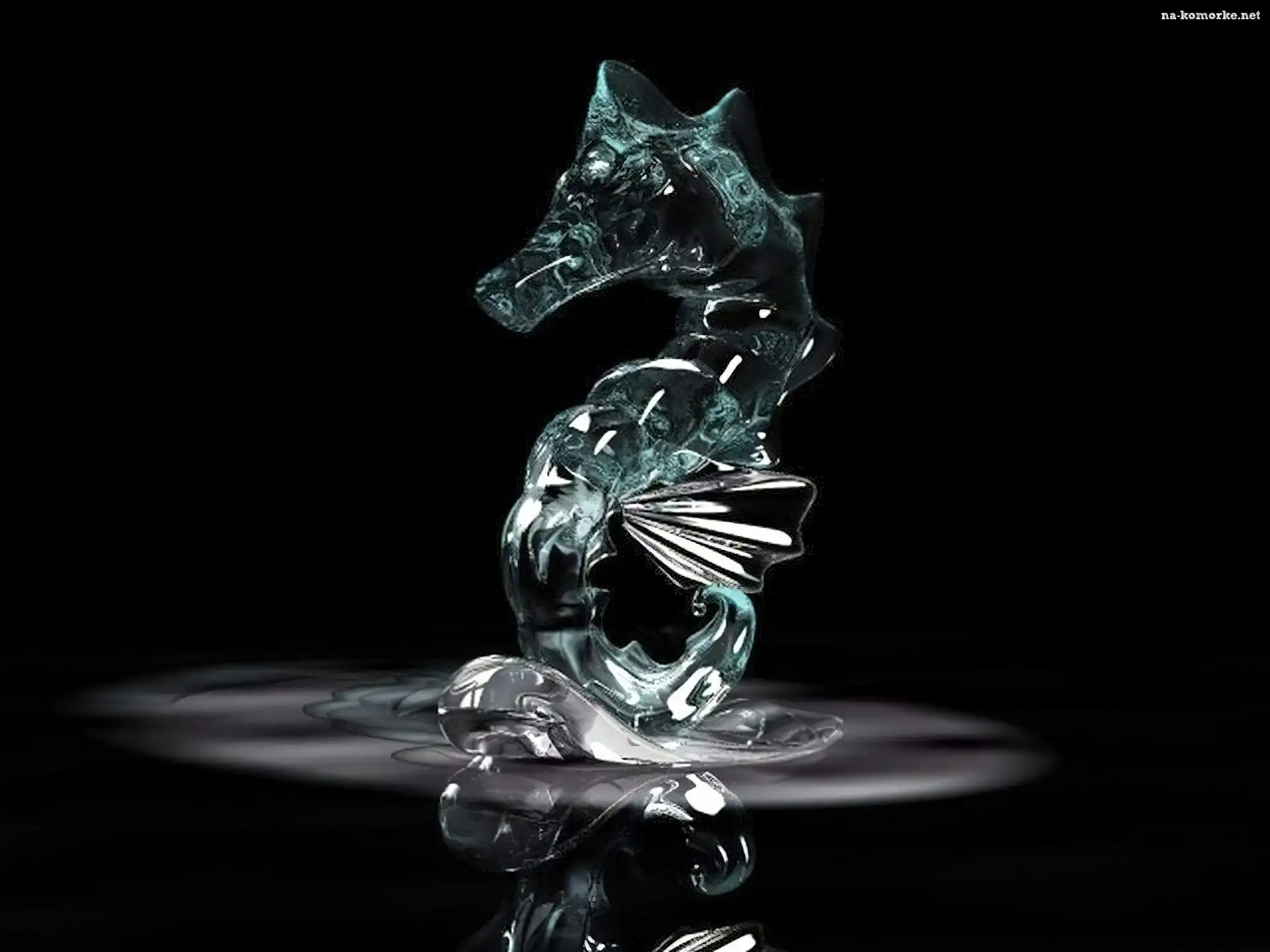 3D, morski, Wektorowa, konik