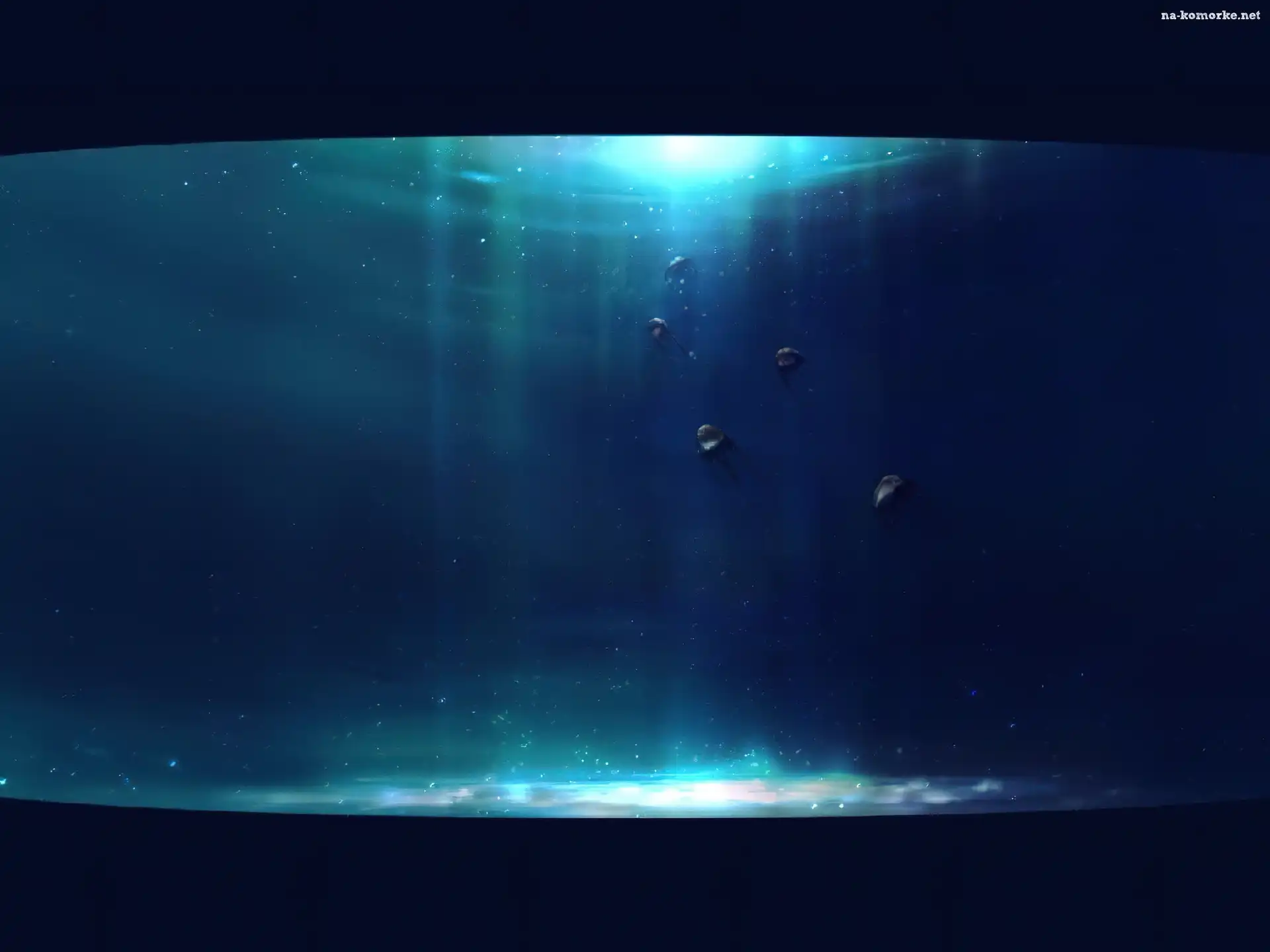 3D, woda, Wektorowa, meduzy