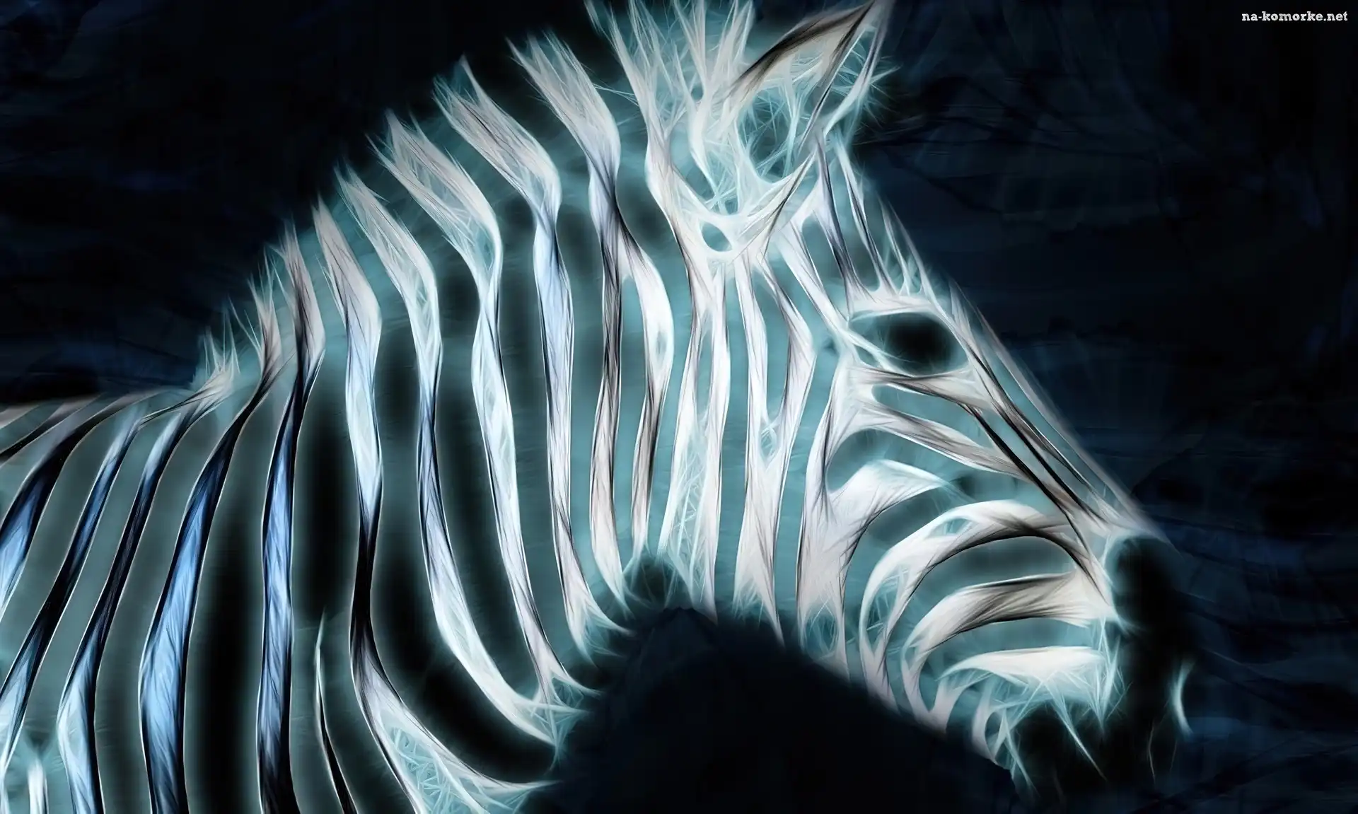 Zebra, 3D, Paski