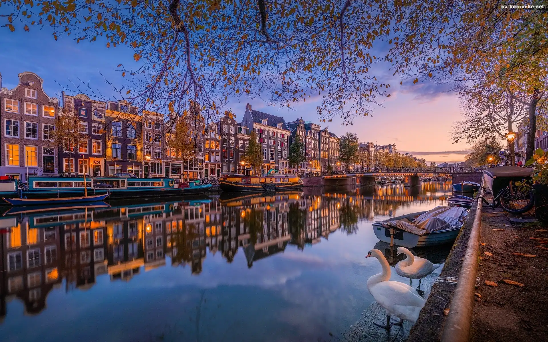 Holandia, Łabędzie, Domy, Łodzie, Amsterdam, Kanał, Jesień, Drzewa