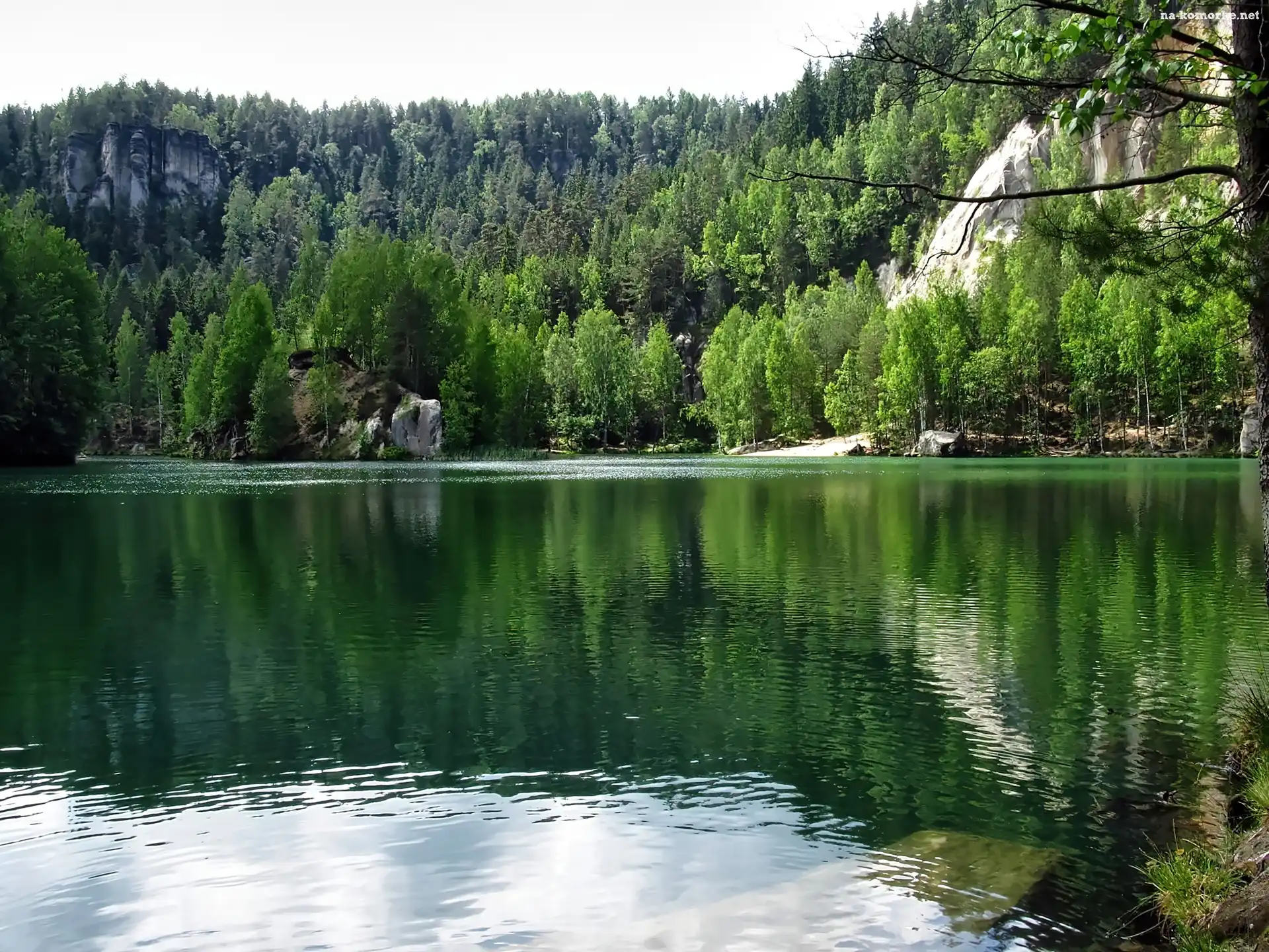 Skały, Adrspach, Czechy, Świerki, Skalne Miasto, Las