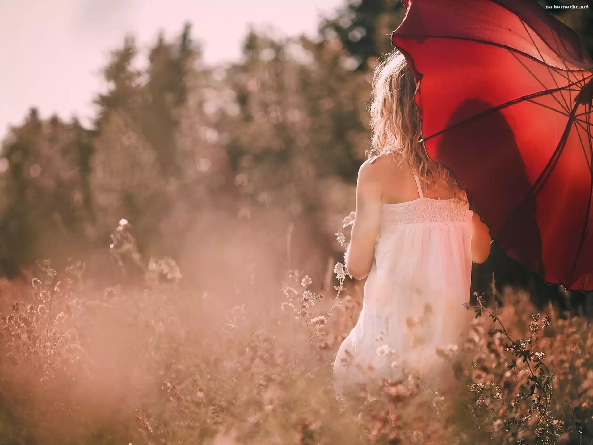 Kobieta, Łąka, Parasol
