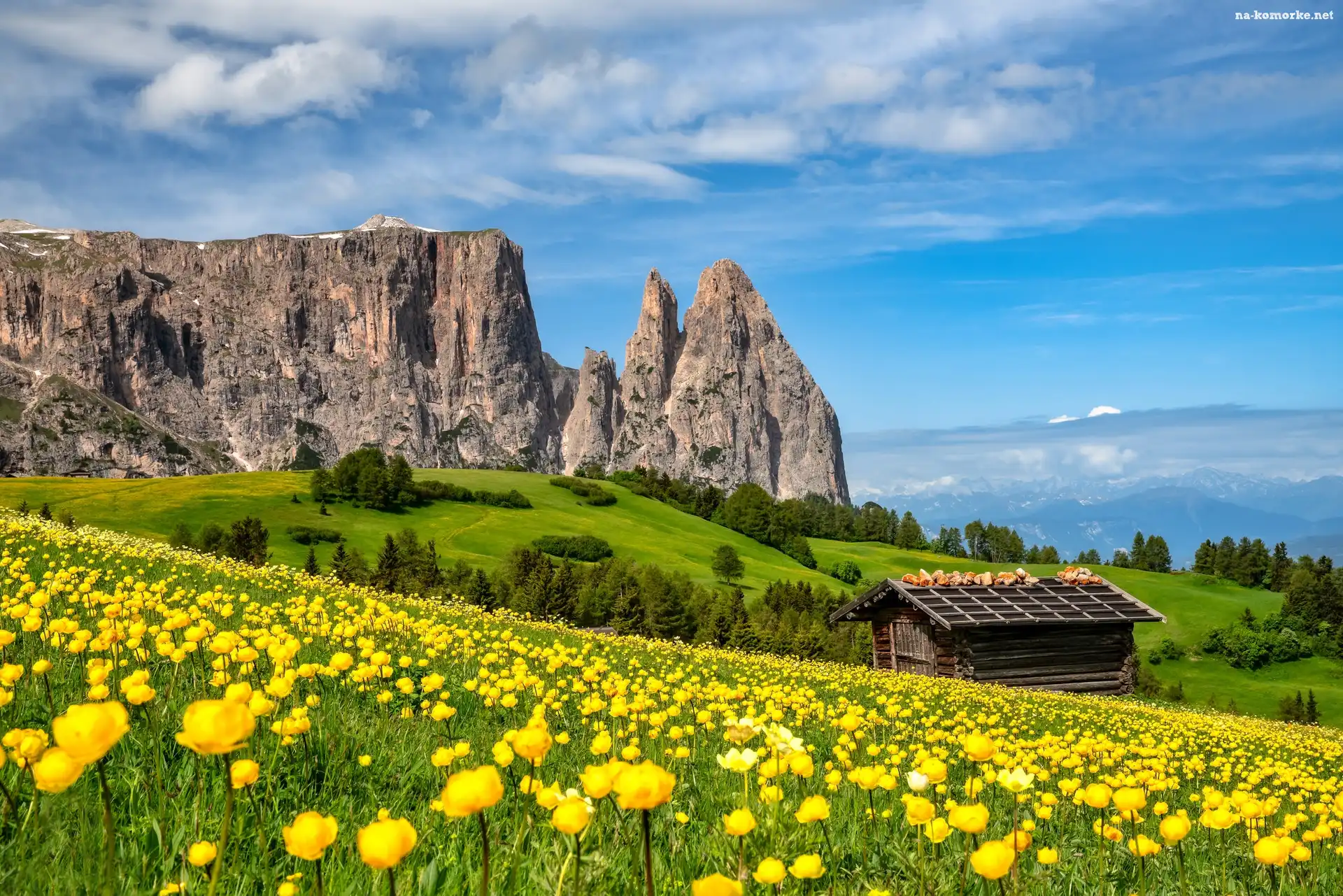 Dolomity, Włochy, Szopa, Góra Schlern, Kwiaty, Góry, Żółte, Drewniana, Łąka
